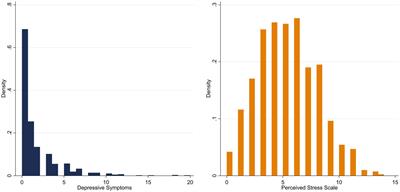 COVID-19 government measures and their impact on mental health: a cross-sectional study of older primary care patients in Germany